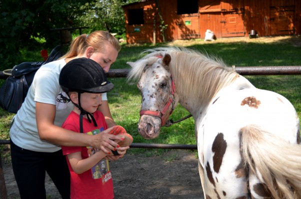 wakacyjne harce \nW wakacje Bartosz odwiedza Felusia...\nFeluś to mały kucyk, który kocha pieszczoty i małe dzieci :&#41; Przy okazji uczy się opieki nad zwierzętami, poznaje ich zachowania i czerpie radość z obcowania z nimi. Uczy się także szacunku do tych wspaniałych zwierząt, bo czym skorupka za młodu nasiąknie... :&#41;