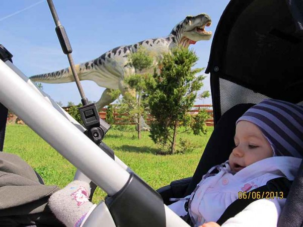 Zdjęcie zgłoszone na konkurs eBobas.pl nawet Alunia nie bała się Dino :&#41;