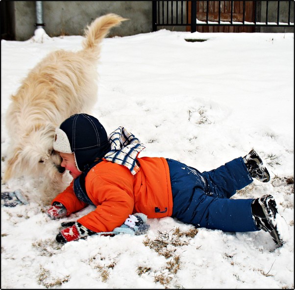 Noski Noski Eskimoski! Radosne Harce przyjaciół i dziecięca radość z zimowego puchu to to za co jako mama lubię zimę, mrozy i śnieżne bałwany.