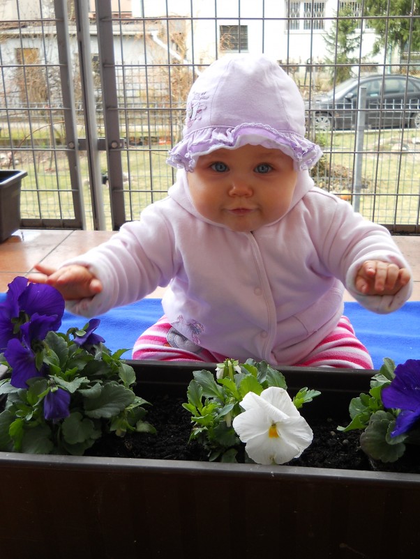 Sadzimy kwiatki:&#45;&#41; Maja w tym roku dzielnie pomagała mamusi przy sadzeniu kwiatków balkonowych:&#45;&#41;&#41;