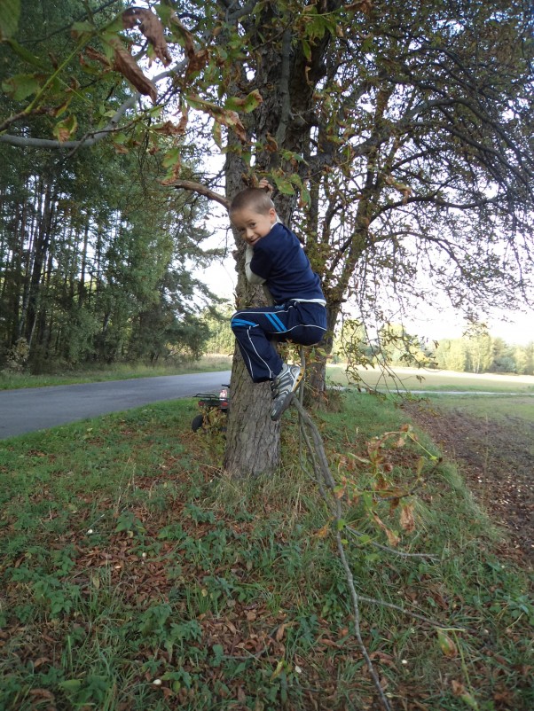 Zdjęcie zgłoszone na konkurs eBobas.pl Mały Tarzan wspina sie po drzewie :&#41;