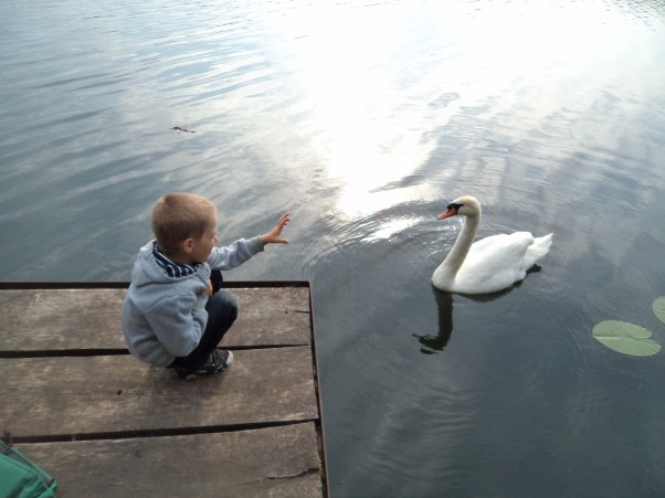 Zdjęcie zgłoszone na konkurs eBobas.pl na mazurskim jeziorze spotkałem przyjaciela, próbowałem nawet się z nim porozumieć na migi....