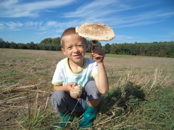 Zdjęcie zgłoszone na konkurs eBobas.pl Uwielbiam zbierać grzyby. Moja specjalność&#45; kanie. Prawie jak parasolka :&#45;&#41;