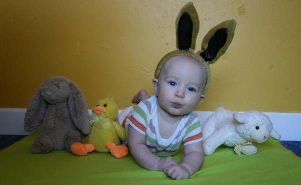 bunny3.jpg bunny3.jpg
