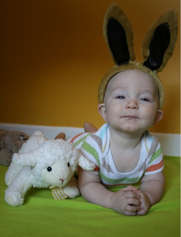 bunny4.jpg bunny4.jpg