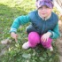 Karolinka 6lat znalazła koło domu na łące wiele wiosennych kwiatów. \nNa tym zdjęciu chciała się pochwalić znalezionym pierwiosnkiem wyniosłym:&#41;