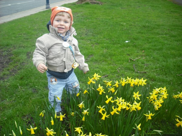 Zdjęcie zgłoszone na konkurs eBobas.pl znalazłem wiosenne kwiatki&#40;Nataniel&#41;