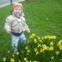znalazłem wiosenne kwiatki&#40;Nataniel&#41;