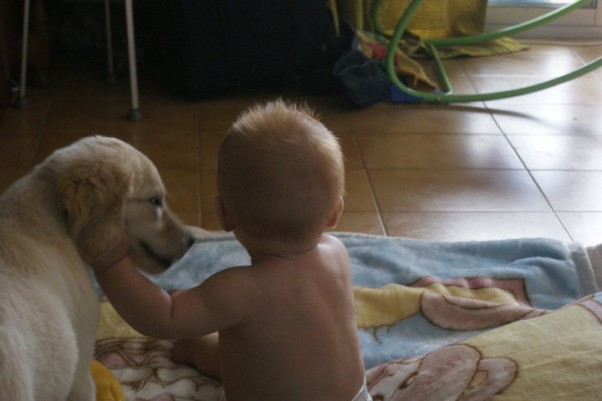 PRZYJACIELE  NA ZAWSZE DOMIS I JEGO UKOCHANY PSIAK, NAJLEPSZY PRZYJACIEL