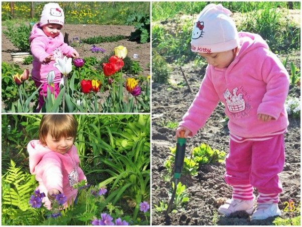Zdjęcie zgłoszone na konkurs eBobas.pl od zawsze wiadomo, że kiedy zaczynają się prace w ogródku to przyszła wiosna....Oliwka pomaga jak potrafi;&#45;&#41;
