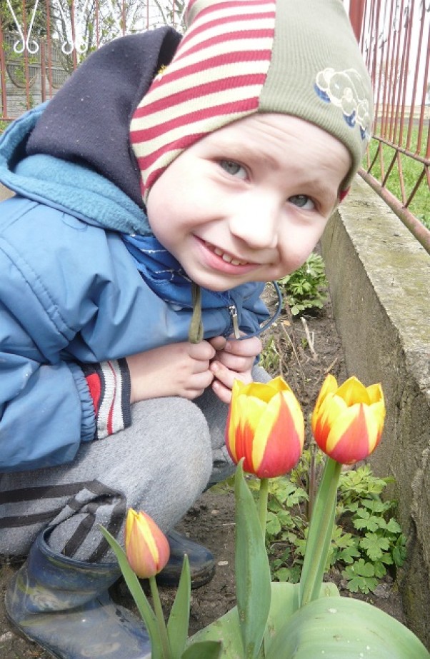 Zdjęcie zgłoszone na konkurs eBobas.pl Pierwsze wiosenne tulipany...