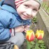 Pierwsze wiosenne tulipany...