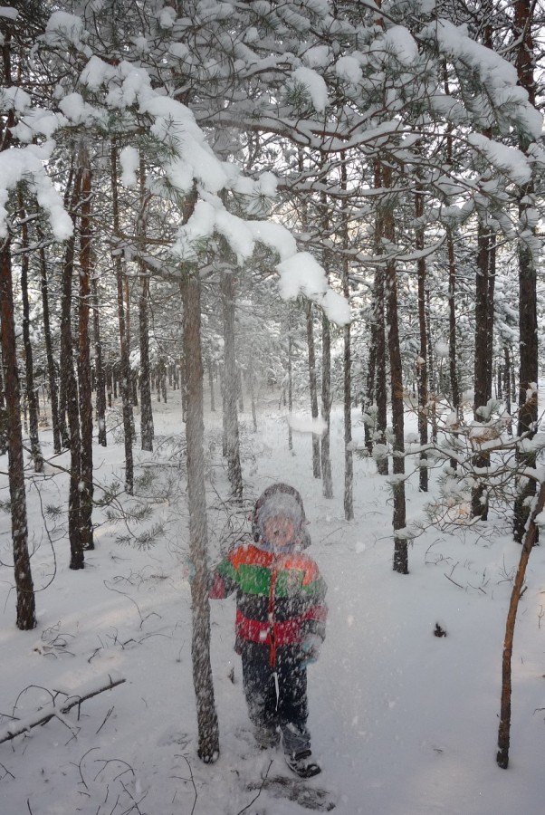 Zdjęcie zgłoszone na konkurs eBobas.pl Łukaszek uwielbia strzepywać śnieg z drzew i łapać płatki śniegu na język. 