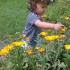 201207311000.jpg