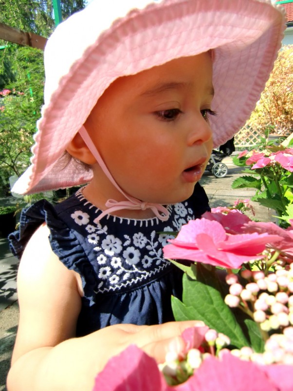 Zdjęcie zgłoszone na konkurs eBobas.pl Mała Dalia wśród kwiatów :&#41;&#41;