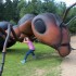 mróweczka