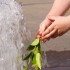W każdym dziecku drzemie pragnienie,\nby rączki w wodzie moczyć,\nkażdego dziecka jest to marzenie,\nby do wody w gorący dzień wskoczyć!