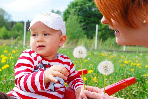 Zdjęcie zgłoszone na konkurs eBobas.pl u babci na działce Mateuszek dmucha z mamą dmuchawce :&#41; \nSłońce grzeje, wietrzyk wieje\nto już maj, to już maj, a Mateusz czeka na rowerek:&#41;