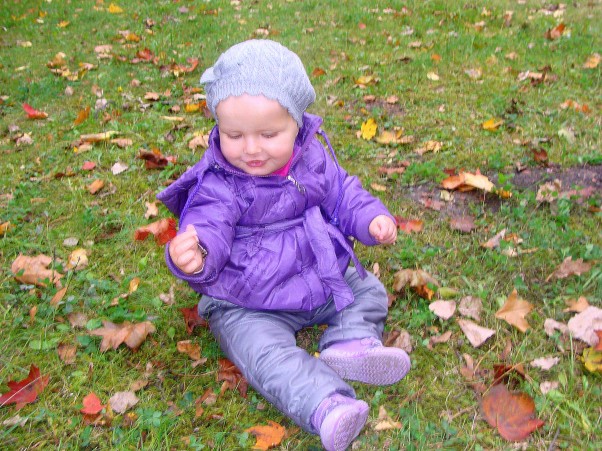 jesienny spaderek Podczas ostatniego spaceru z mamą do parku świetnie się bawiłam. Odkryłam że mogę zrobić przepiękny jesienny bukiet z liści które już opadły z drzew :&#41; zobaczcie sami jak starannie wybierałam każdy listek.Oliwka 