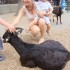 majowka 2012 w Zoo z Ostravie :&#41;