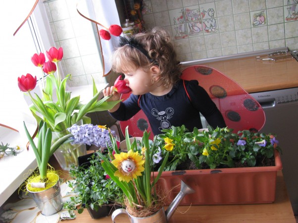 Zdjęcie zgłoszone na konkurs eBobas.pl Biedroneczka nasza mała gdy tak kwiatki przesadzała,wiosnę ujrzeć chciała,bo tak kocha kwiatki bratki kolorowe i pachnące malowane słońcem.Tak jej przypomniałam  by buziaka jej posłała i się z wiosną przywitała.Biedroneczka Nadia  kwiatki powąchała i całuski wiośnie wysłała 