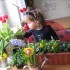 Biedroneczka nasza mała gdy tak kwiatki przesadzała,wiosnę ujrzeć chciała,bo tak kocha kwiatki bratki kolorowe i pachnące malowane słońcem.Tak jej przypomniałam  by buziaka jej posłała i się z wiosną przywitała.Biedroneczka Nadia  kwiatki powąchała i całuski wiośnie wysłała 