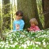 Julia i Justyna w lesie pośród zawilców &#45; zciekawościa oglądają piękne kwiaty