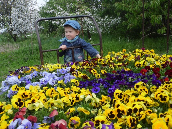 Zdjęcie zgłoszone na konkurs eBobas.pl Wiosna jest piękna kolorowa i pachnąca :&#41;