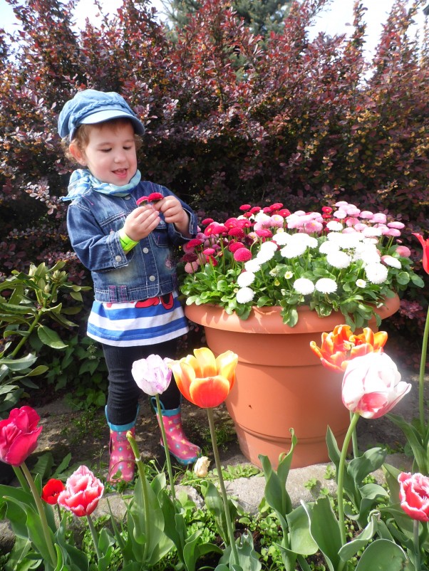 Zdjęcie zgłoszone na konkurs eBobas.pl     Gdzie kwitnie kwiat &#45; musi być wiosna...