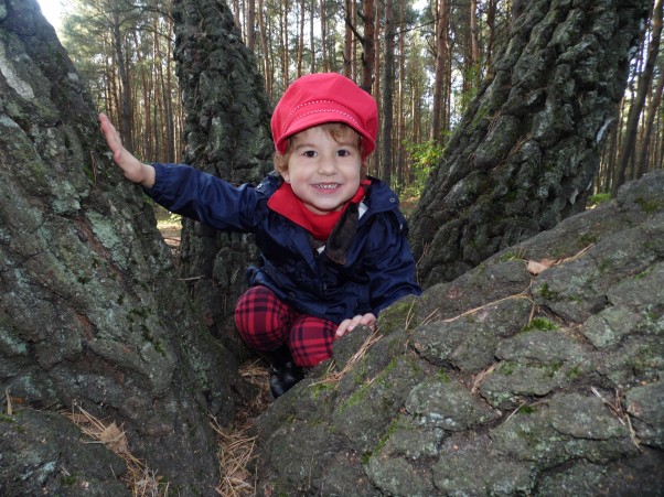 Zdjęcie zgłoszone na konkurs eBobas.pl  Podczas wędrówki po lesie Majka znalazła niesamowite drzewo i mówi że ono ma cztery nogi ;&#41;