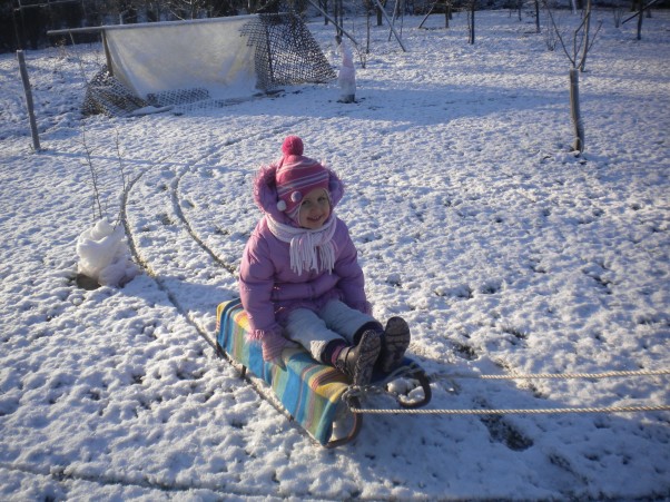 Jazda na sankach Pędzą sanki po śniegu i radość dziecka bezcenna :&#41;
