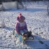 Pędzą sanki po śniegu i radość dziecka bezcenna :&#41;