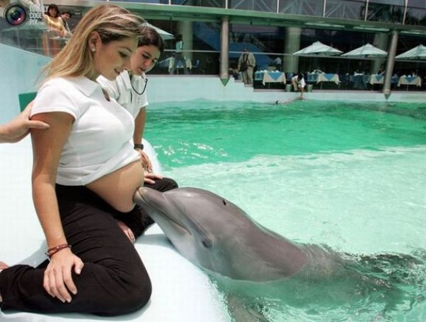 Zdjęcie zgłoszone na konkurs eBobas.pl Nawet delfiny Cię całują córeczko!