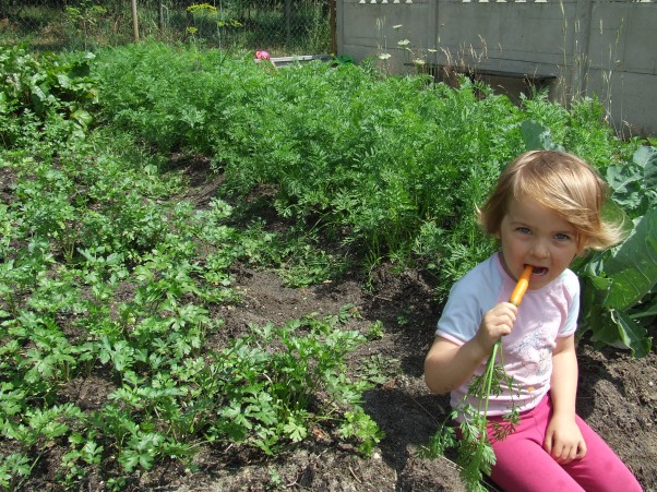Martynka w ogródku Podróż na działkę jest bardzo zdrowa,\nowocowo&#45;warzywna i kolorowa. \nMarchew wspaniale tam smakuje,\nto mama w ogródku ją produkuje. 