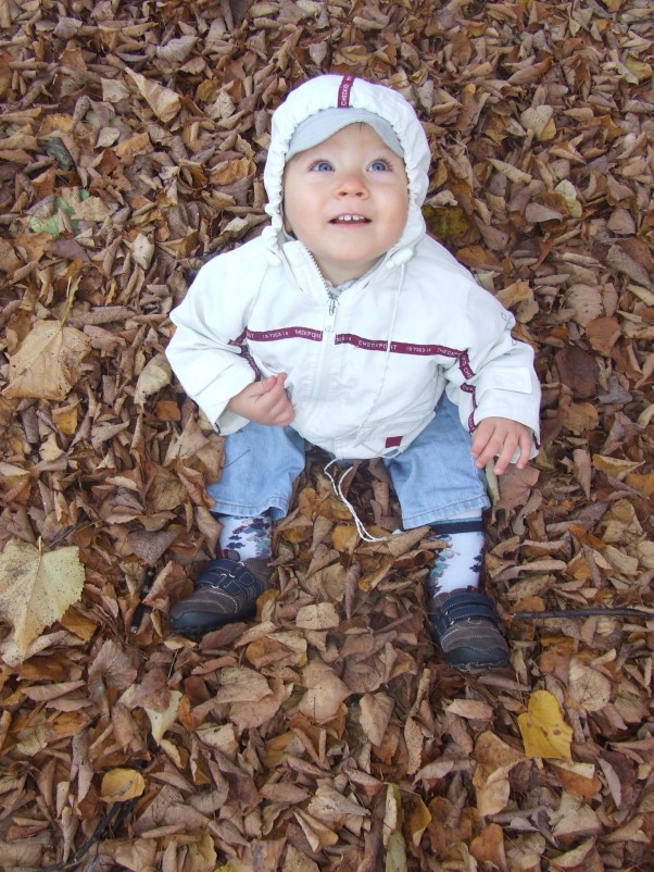 Listopadowy spacer. Arturek wśród jesiennych liści z ogromnego drzewa. 
