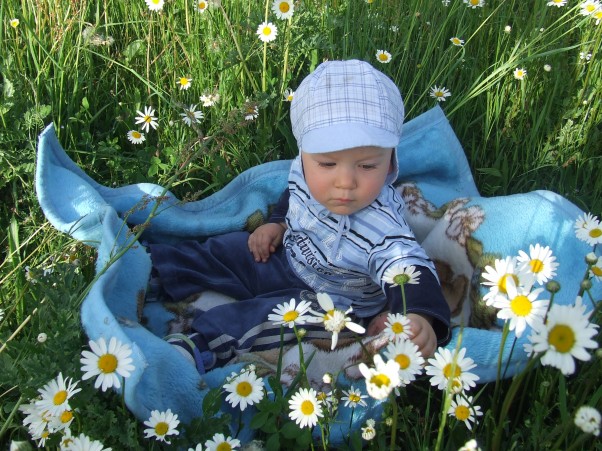 Arturek wśród kwiatów Na łące pięknie pachnie wiosną! 