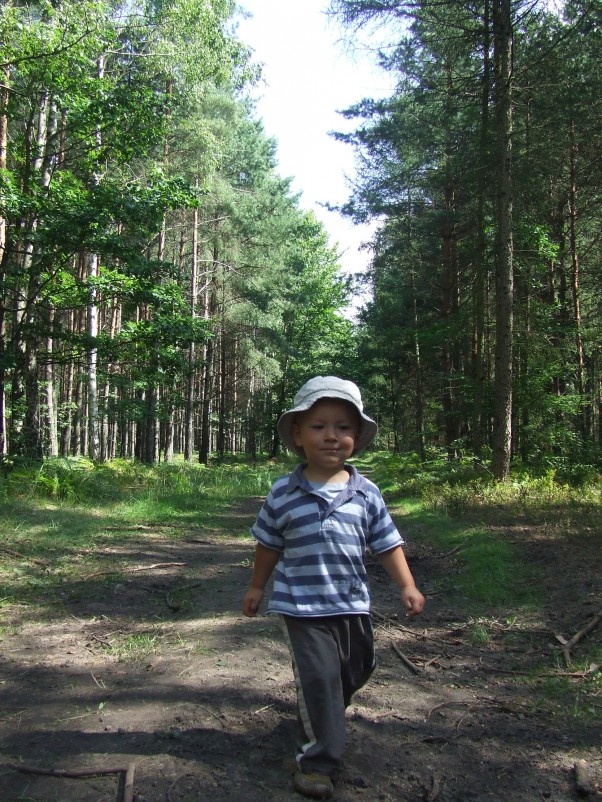 Spacer do lasu  Wspaniale jest oddychać świeżym leśnym powietrzem. 