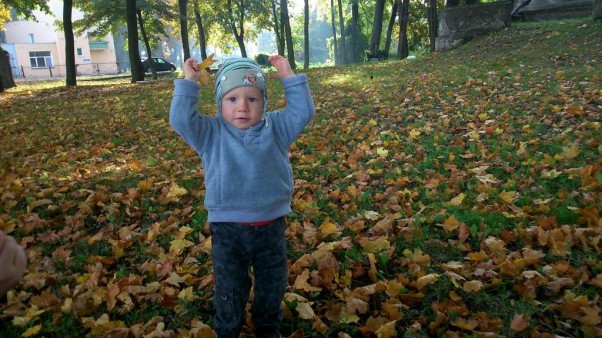 Jesienny spacer Bartuś i jego codzienna zabawa w spadających z drzew listkach.