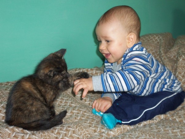 Mały Kamilek i mały kotek :&#41; Zabawy z kotkiem &quot;Psotkiem&quot;