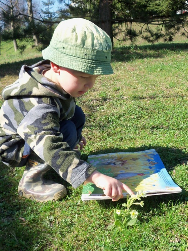 O! Taki kwiatek, jak w mojej książce o wiośnie! 