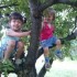 Pati i Rafcio na drzewie w letni dzionek :&#41;