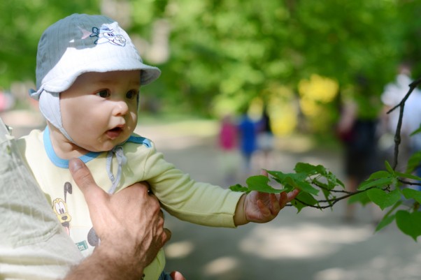 Liście Widzieliście, co wyrosło na tych gałązkach?