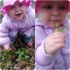 Milenusia znalazła pierwszego kwiatuszka w parku 