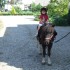 Nasza córeczka Maja na swym ukochanym kucyku BONACO początki były dla niej męczące ale po kilku przejażdżkach potrafi zachować się na kucyku,koniki kocha od zawsze i podobnie jak e&#45;bobas.pl kończy 4latka.