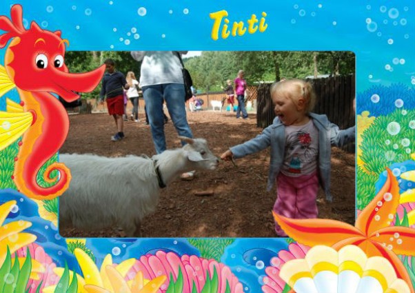 Mini Zoo  Absolutny hit wakacji Amelki! Karmienie kóz w Mini Zoo w Oliwie, to dopiero była atrakcja!!!