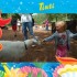Absolutny hit wakacji Amelki! Karmienie kóz w Mini Zoo w Oliwie, to dopiero była atrakcja!!!