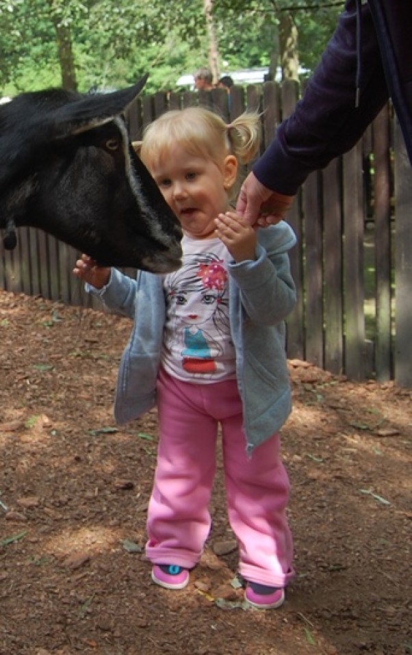 Pierwsza wycieczka do ZOO. Uchwycenie miny córeczki, gdy pierwszy raz zobaczyła kozę było bezcenne :&#41; 