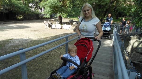 Wycieczka do zoo Weekendy wykorzystujemy na rodzinne wycieczki. Zoo to jedno z ulubionych miejsc Leosia, do którego często wybieramy się w sobotnie lub niedzielne popołudnie :&#41;