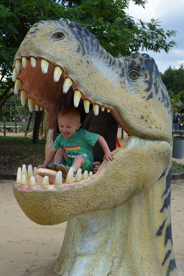 Zdjęcie zgłoszone na konkurs eBobas.pl Odkrywałem świat,\nale jakiś dinozaur mnie zjadł ;&#41;