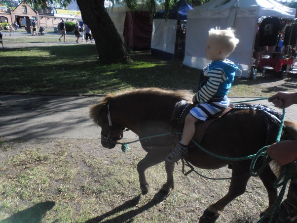 Zdjęcie zgłoszone na konkurs eBobas.pl Najbardziej wspominaną atrakcją przez Kamila jest jazda na kucyku. Maluch był zachwycony! Wakacje uważamy za udane cała rodzinka wróciła wypoczęta :&#41;